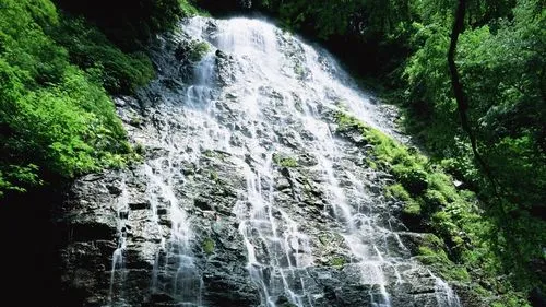 高精度独特智能